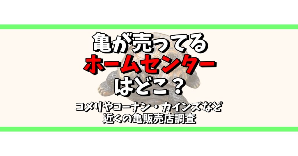 亀が売ってるホームセンター